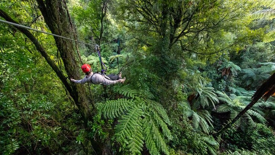 Rotorua Forest Canopy Zipline Adventure, Multiple Tour Times