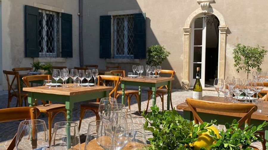 Verona Wine Tasting With Vineyard and Cellar Tour