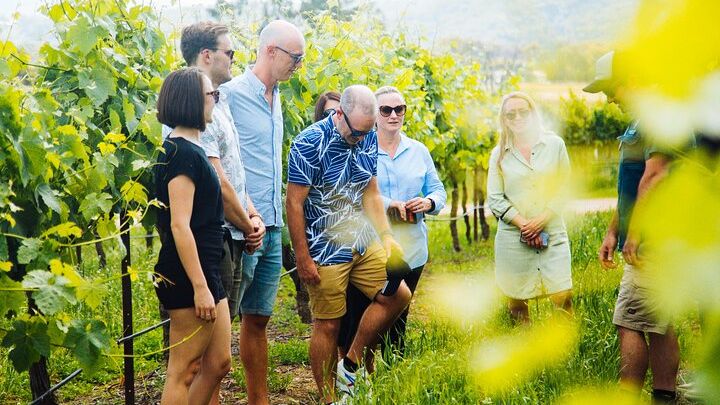Hunter Valley Wine-Tasting Tour With Lunch and Transfers