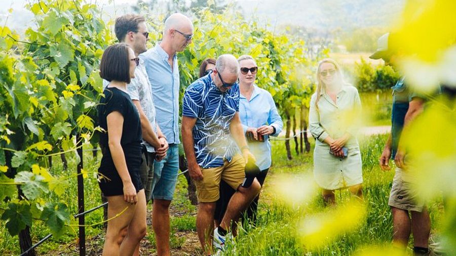 Hunter Valley Wine-Tasting Tour With Lunch and Transfers