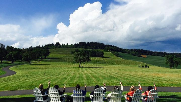 Small Group: Willamette Valley Wine Tour From Portland (Tasting Fees Included)