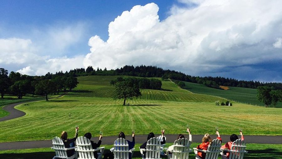 Small Group: Willamette Valley Wine Tour From Portland (Tasting Fees Included)
