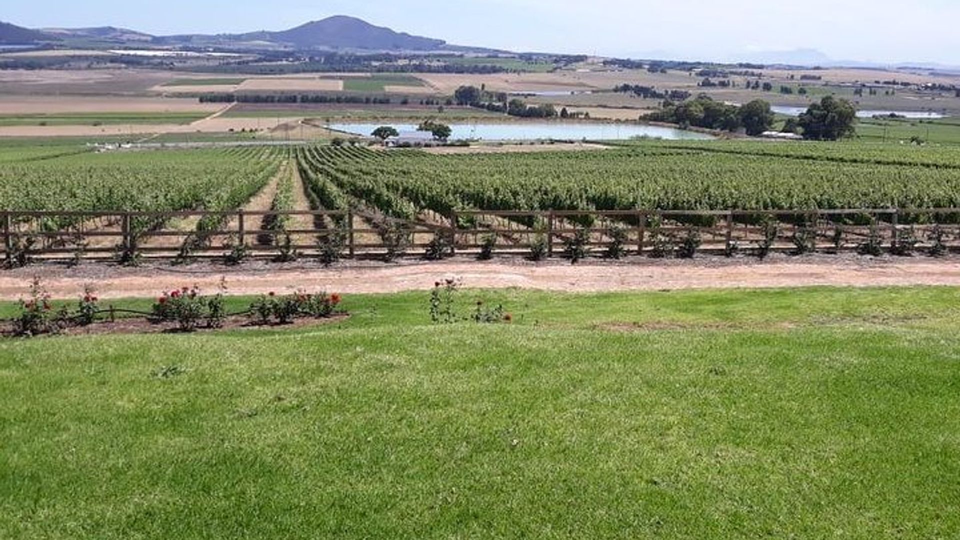 Weinverkostungstour durch Stellenbosch, Franschhoek und Paarl