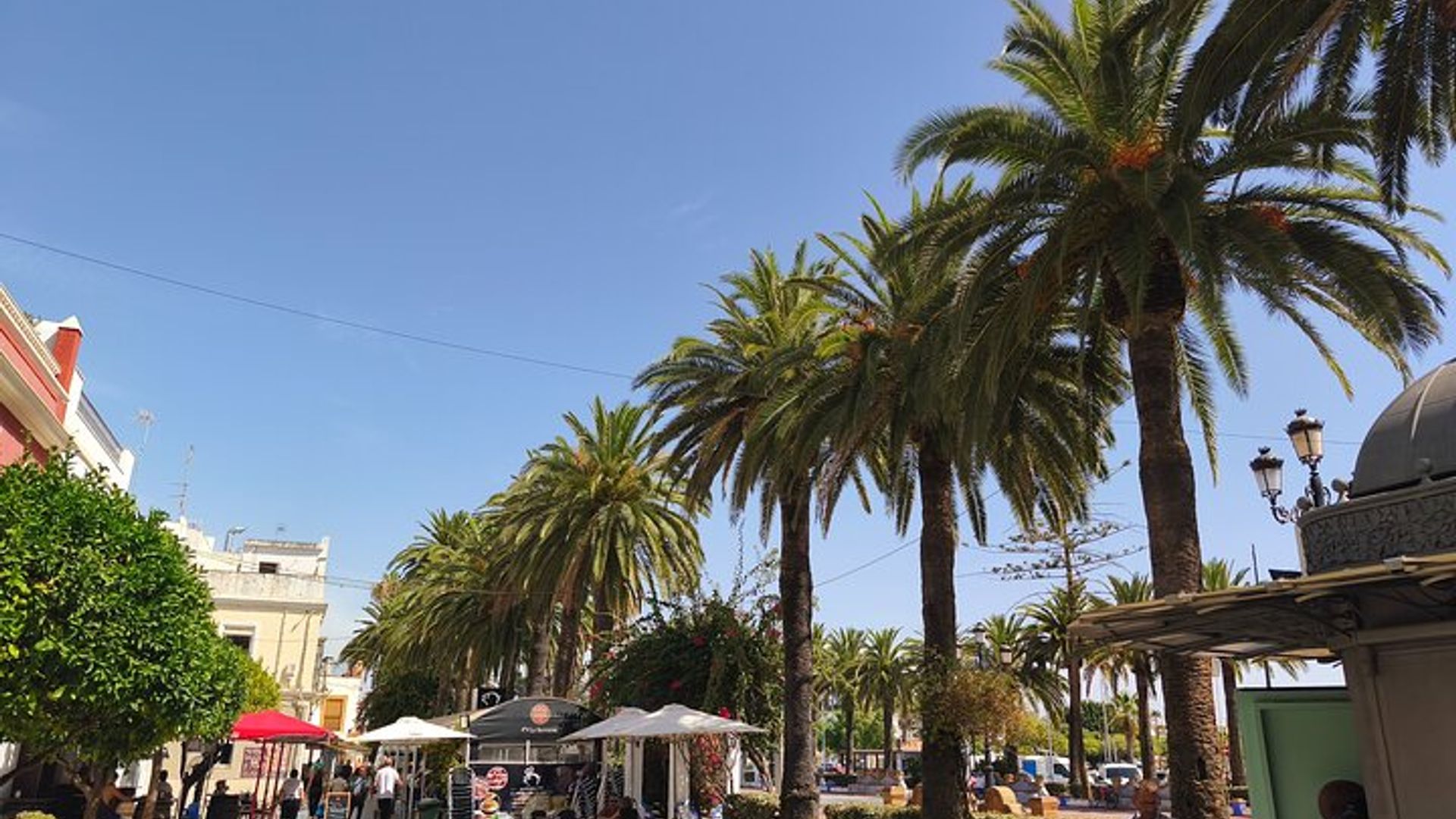 Visite du marché de Tavira Olhão et d'Ayamonte en Espagne