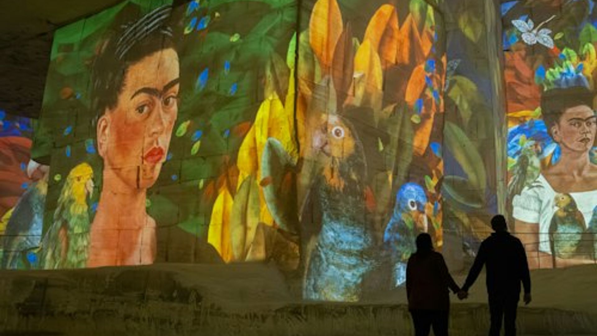 Carrières des Lumières : exposition « Matisse & Frida Kahlo »
