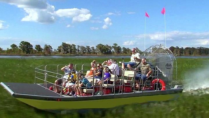 Wild Florida Adventure Package Tour with Hotel Pickup & Lunch