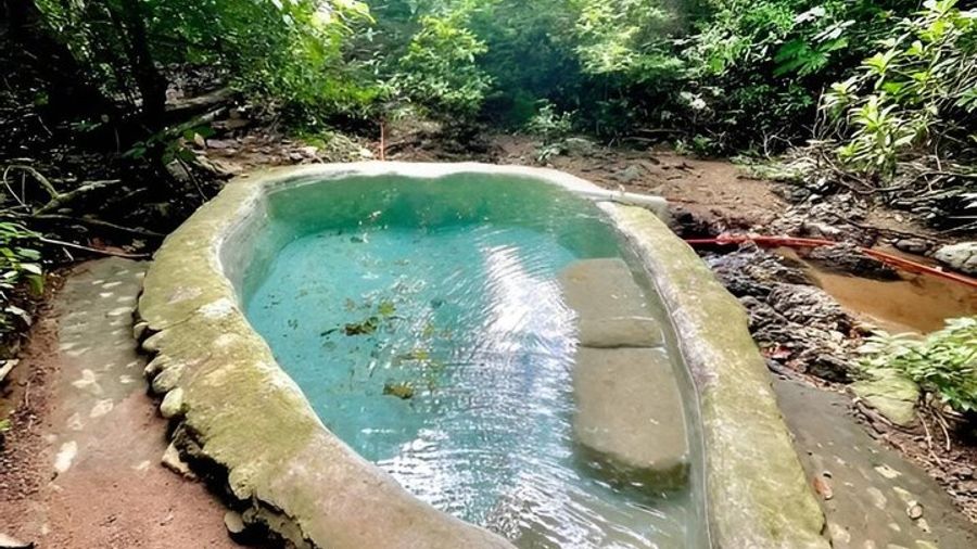 Puerto Vallarta Hot Springs and Massage Day
