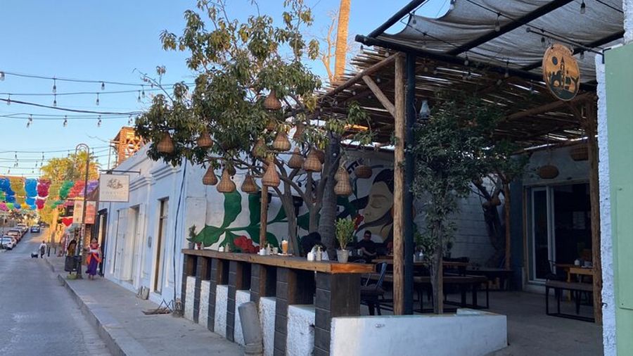 San Jose del Cabo Small-Group Historical Walking Tour