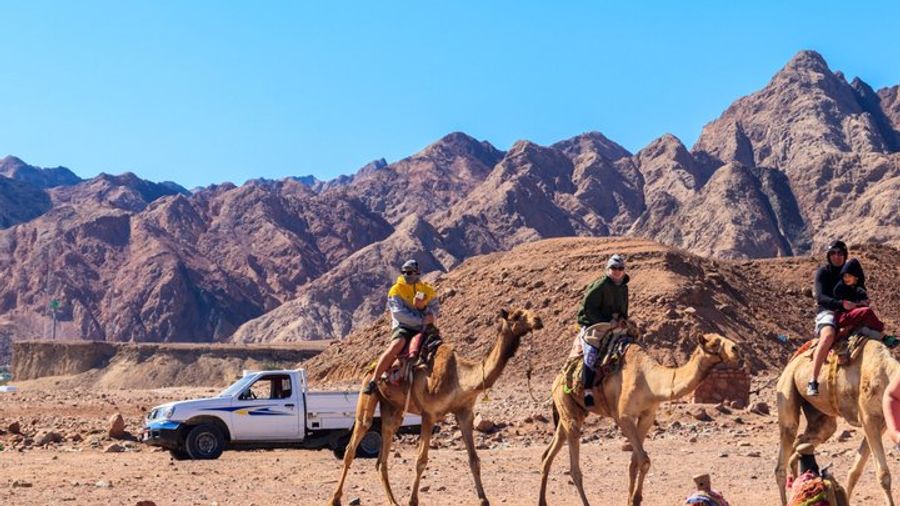 Sharm El Sheikh ATV Quad Bike Safari & Camel Ride – No Hidden Fee