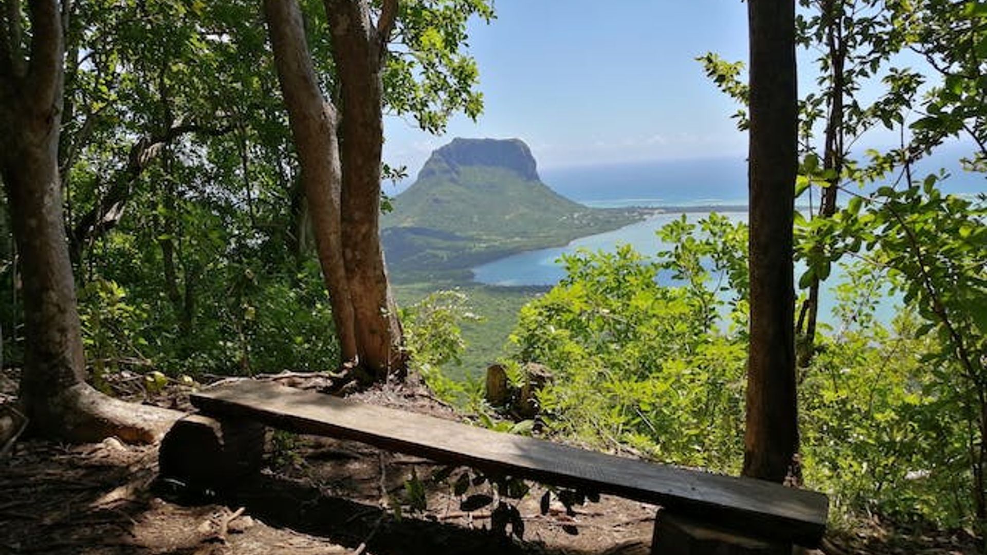 Mauritius Ebony Forest and hiking tour