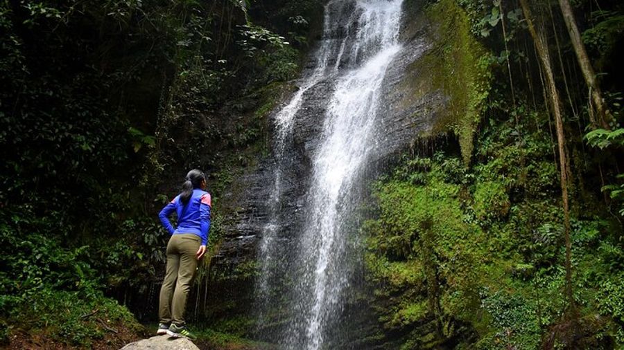 National Park Farallones de Cali Small-Group Hiking Tour