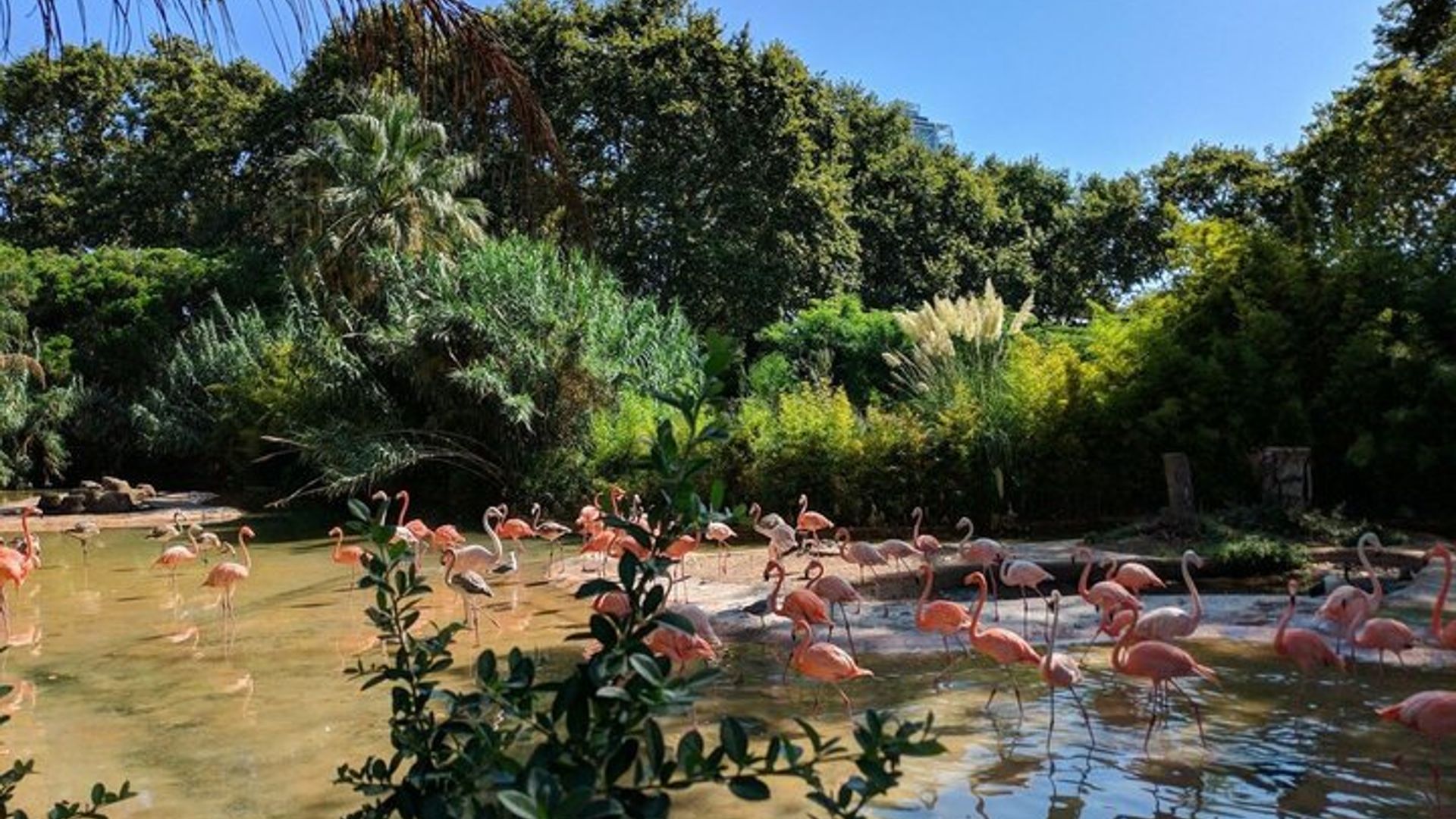 Barcelona Zoo Skip The Line Ticket and Digital City Walk