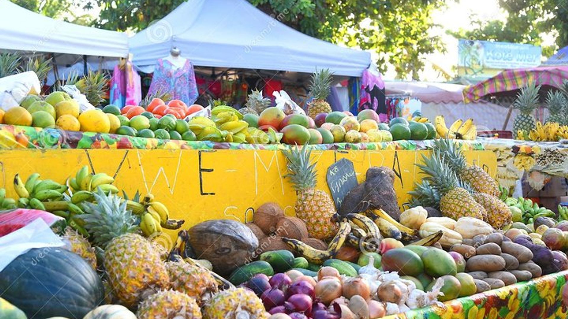 Visite privée d'une demi-journée du sud-est de la Guadeloupe