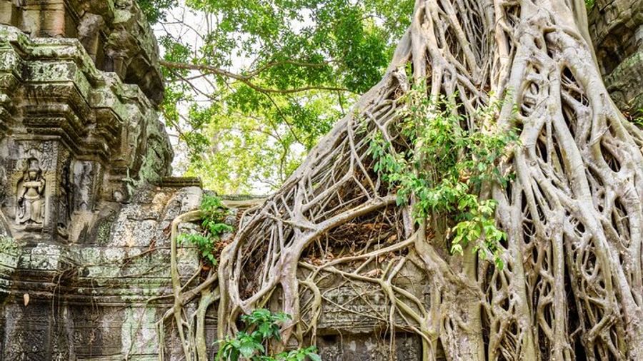 Angkor 2-Day Sunset & Sunrise Small-Group Tour