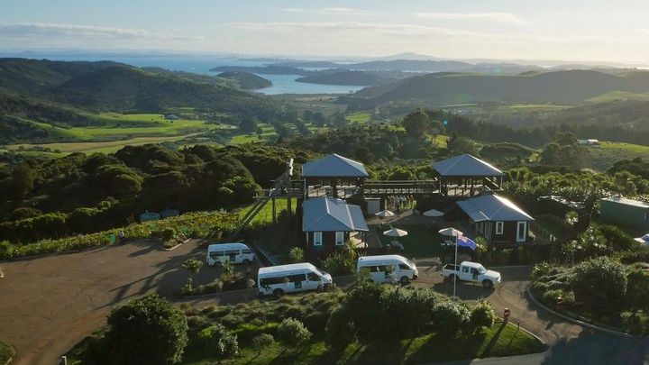 Waiheke Island Zipline, Forest Walk Small-Group Half-Day Tour