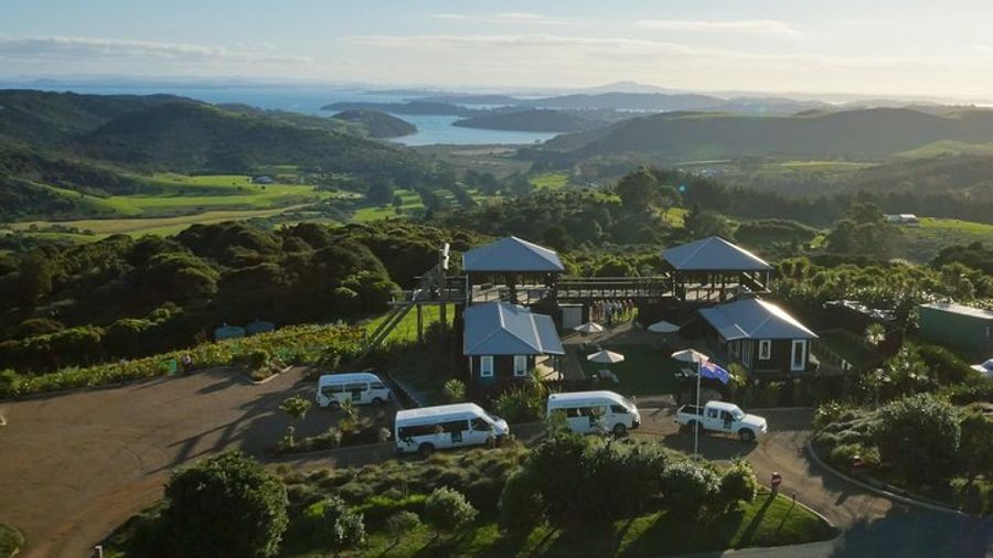 Waiheke Island Zipline, Forest Walk Small-Group Half-Day Tour