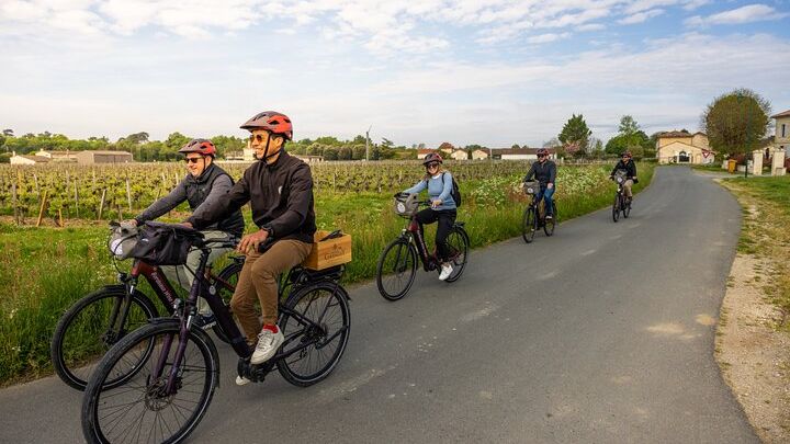 Saint-Emilion Full-Day E-Bike Tour from Bordeaux with Lunch