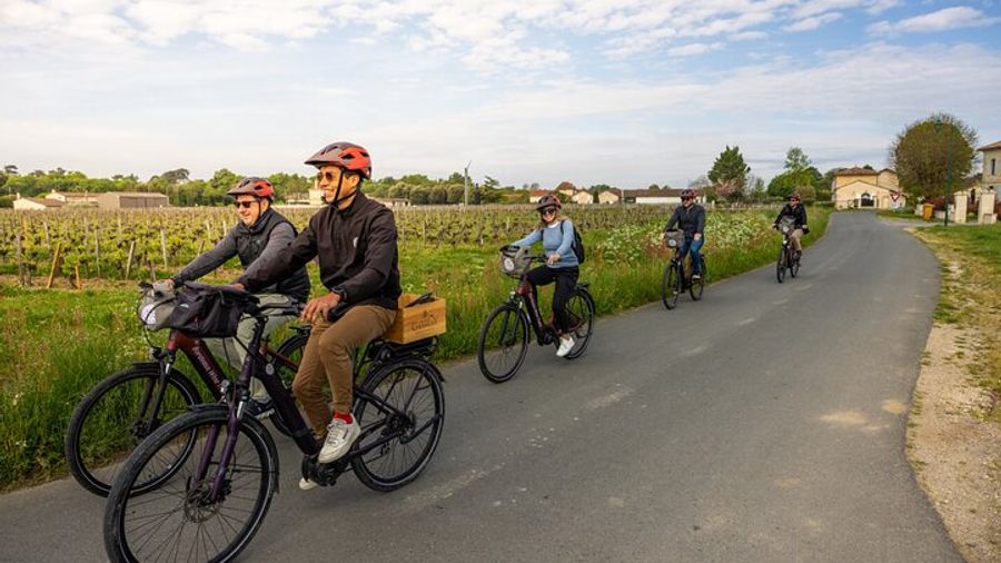 Saint-Emilion Full-Day E-Bike Tour from Bordeaux with Lunch
