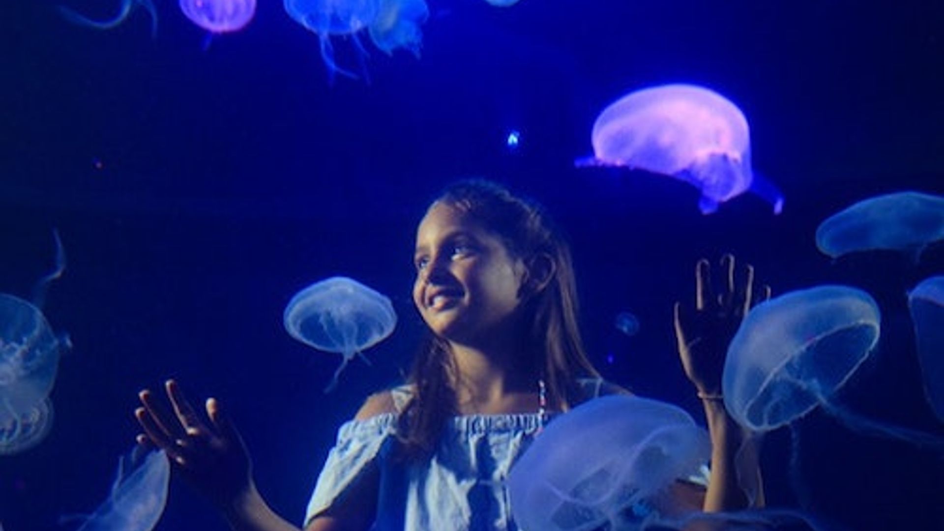 Palma Aquarium : Billet coupe-file + Cinéma 3D Aquadome en option