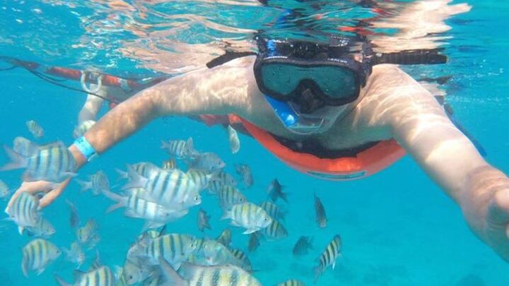 Private MUSA Snorkeling Experience from Isla Mujeres / Cancun