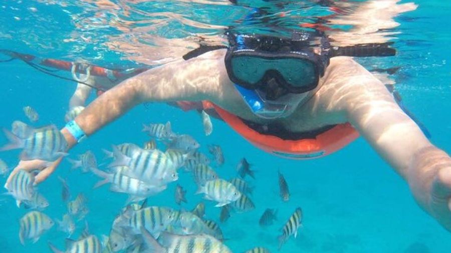 Private MUSA Snorkeling Experience from Isla Mujeres / Cancun