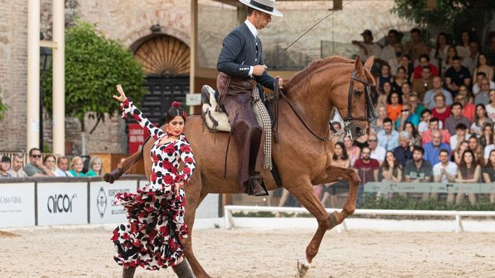 Cordoba : Royal Stables Equestrian and Flamenco Show Tickets