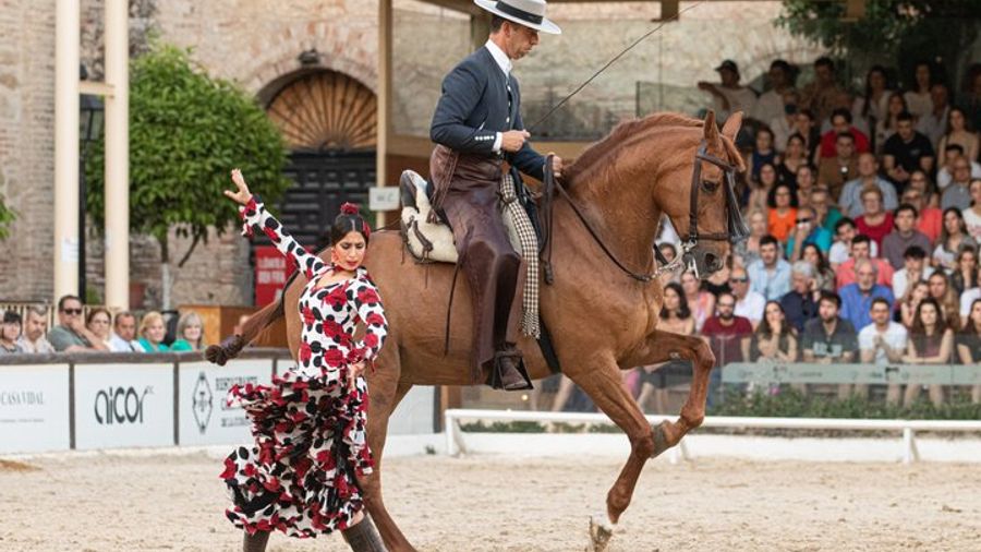 Cordoba : Royal Stables Equestrian and Flamenco Show Tickets