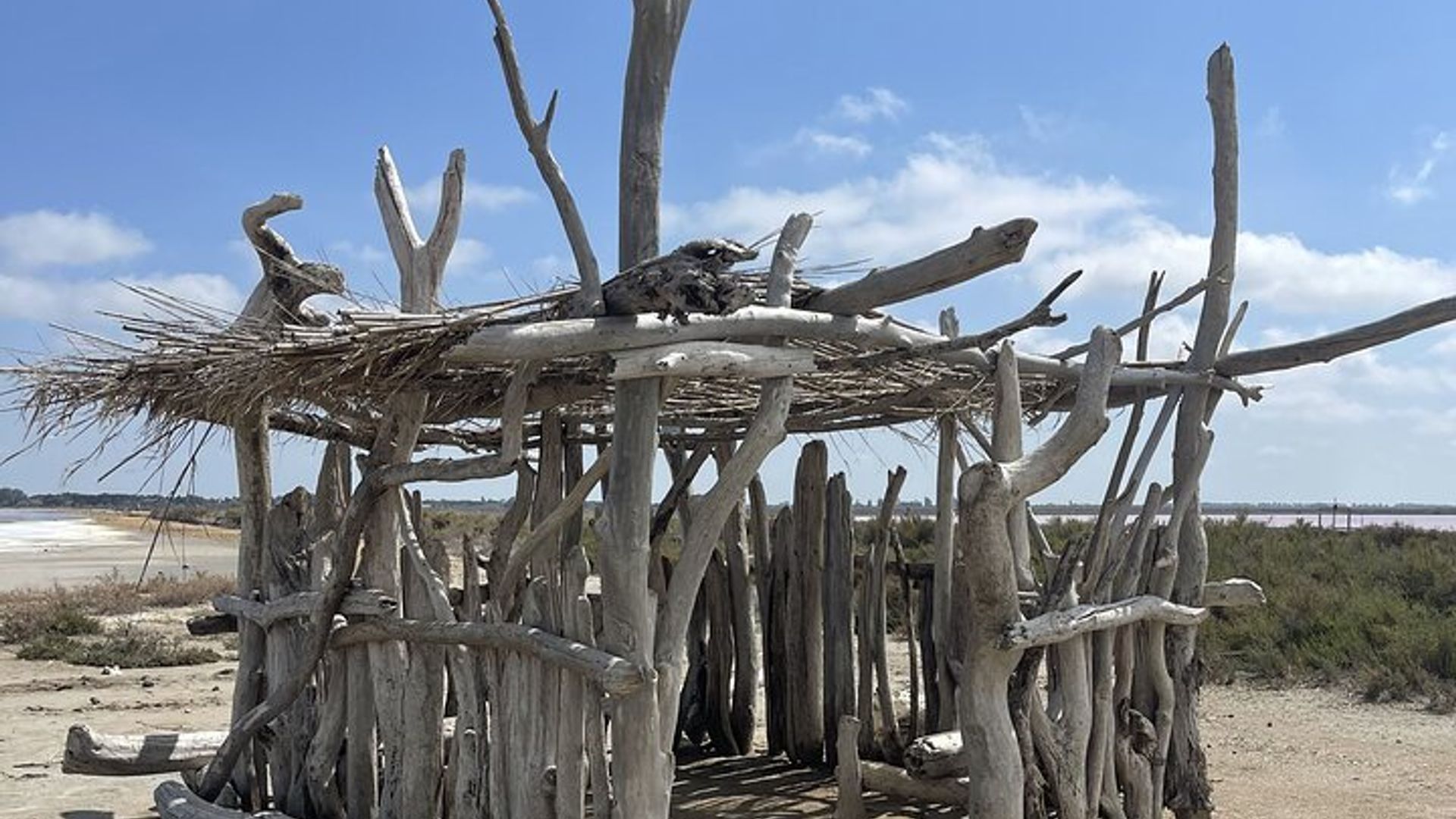 Ein Tag in der Camargue, Aigues-Mortes und Sainte-Marie-de-la-Mer