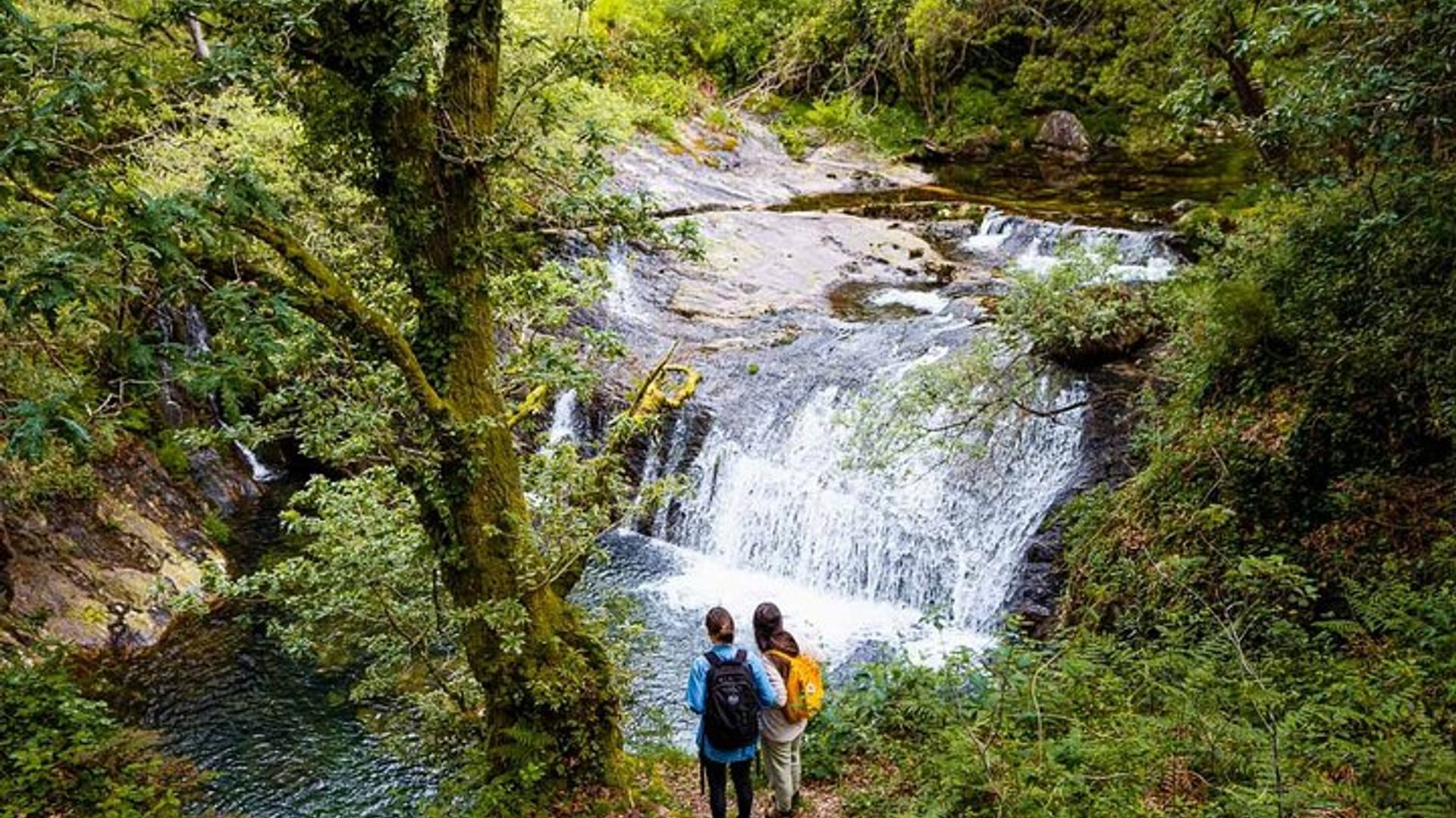 Porto Private Serra D'Arga Trek et dîner portugais