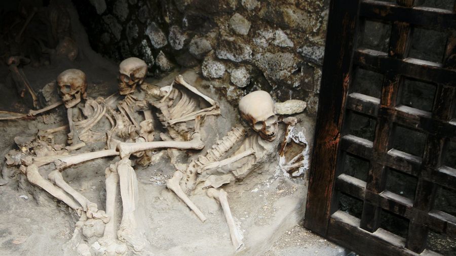 Herculaneum private and personalized tour with a local guide