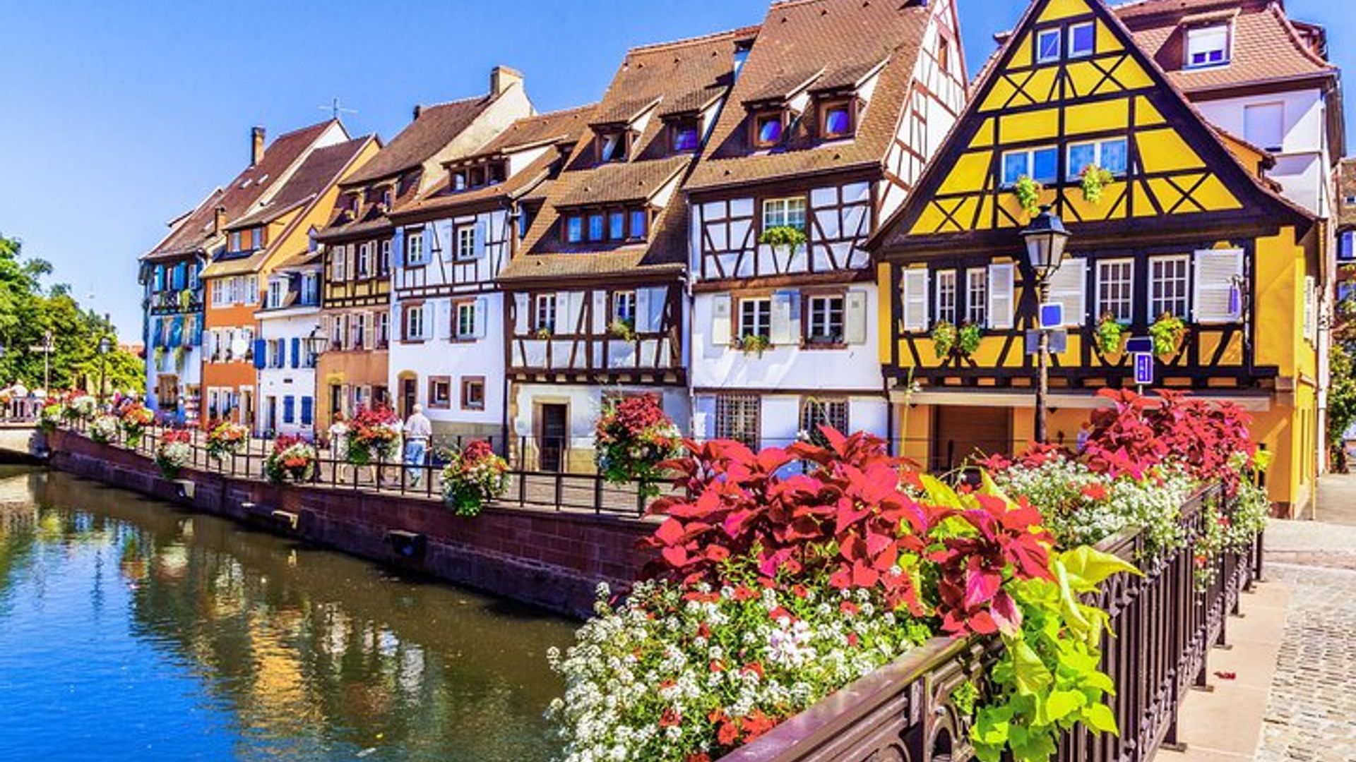 Best Intro to Colmar in 2 hours with a Local