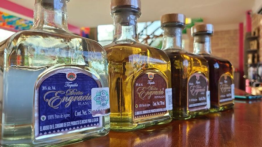 Costa Maya: Tequila Distillery Experience & Tasting, Port Pickup