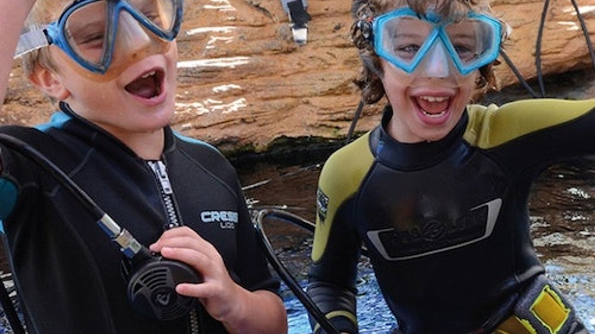 Palma Aquarium: Skip The Line Ticket + Optional 3D Cinema Aquadome