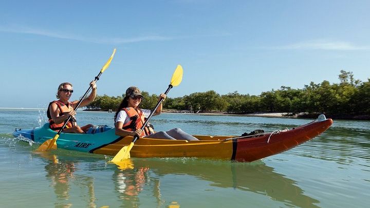 Isla Holbox Mangrove Forest Kayaking Tour