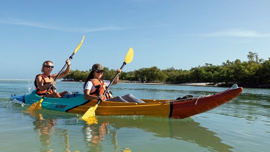 Isla Holbox Mangrove Forest Kayaking Tour