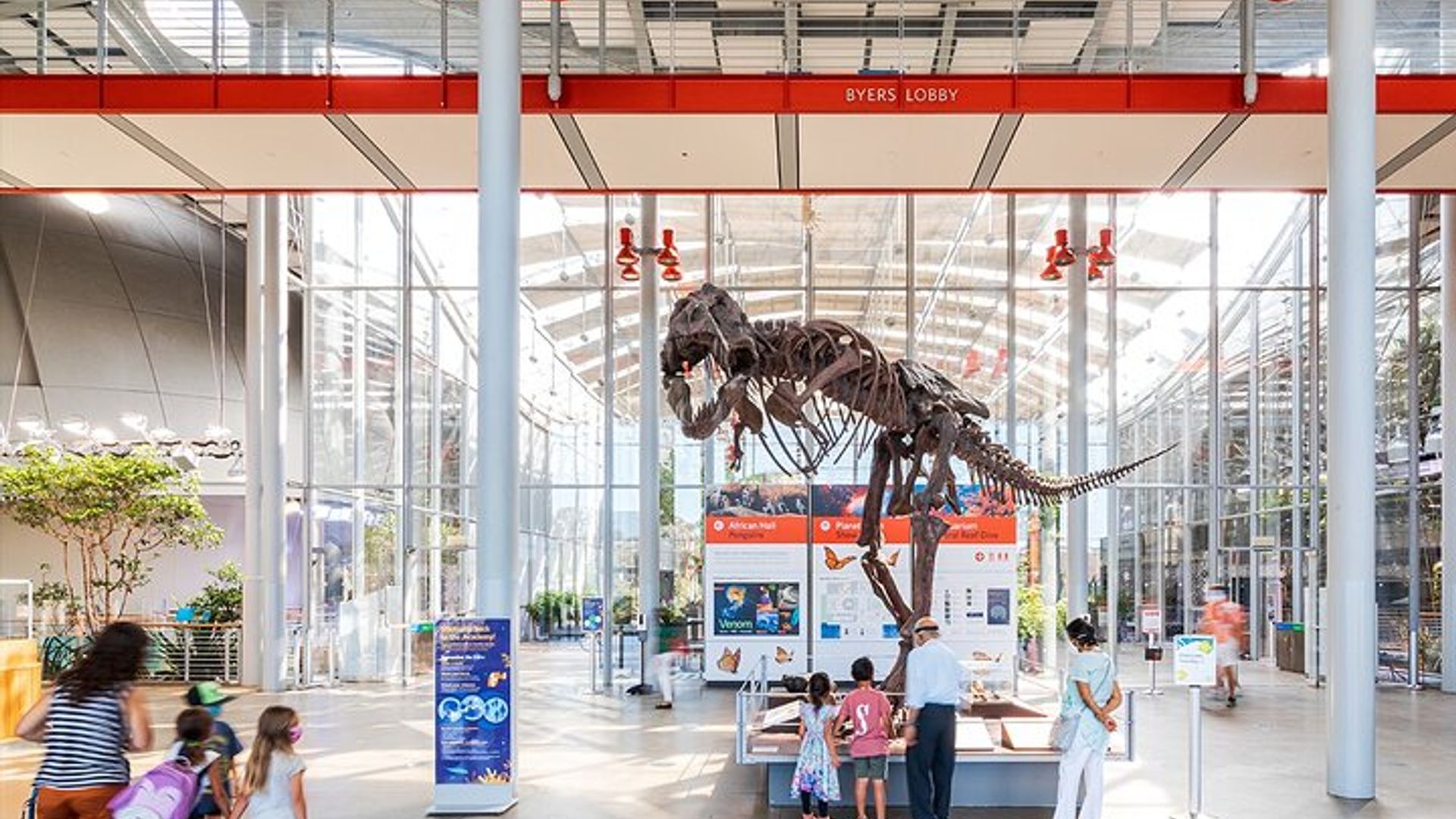 California Academy of Sciences General Admission Ticket image 3