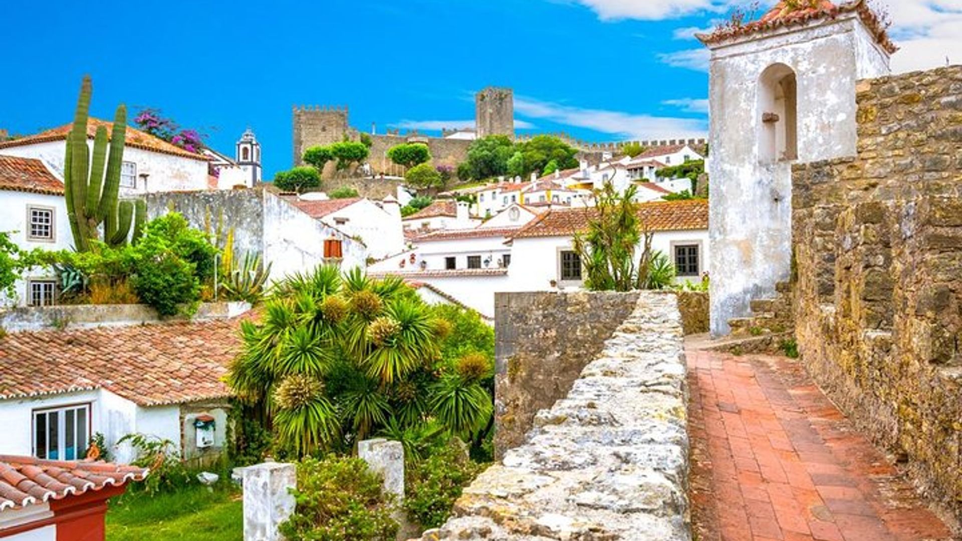 Visite privée d'Obidos et de Nazaré à Lisbonne