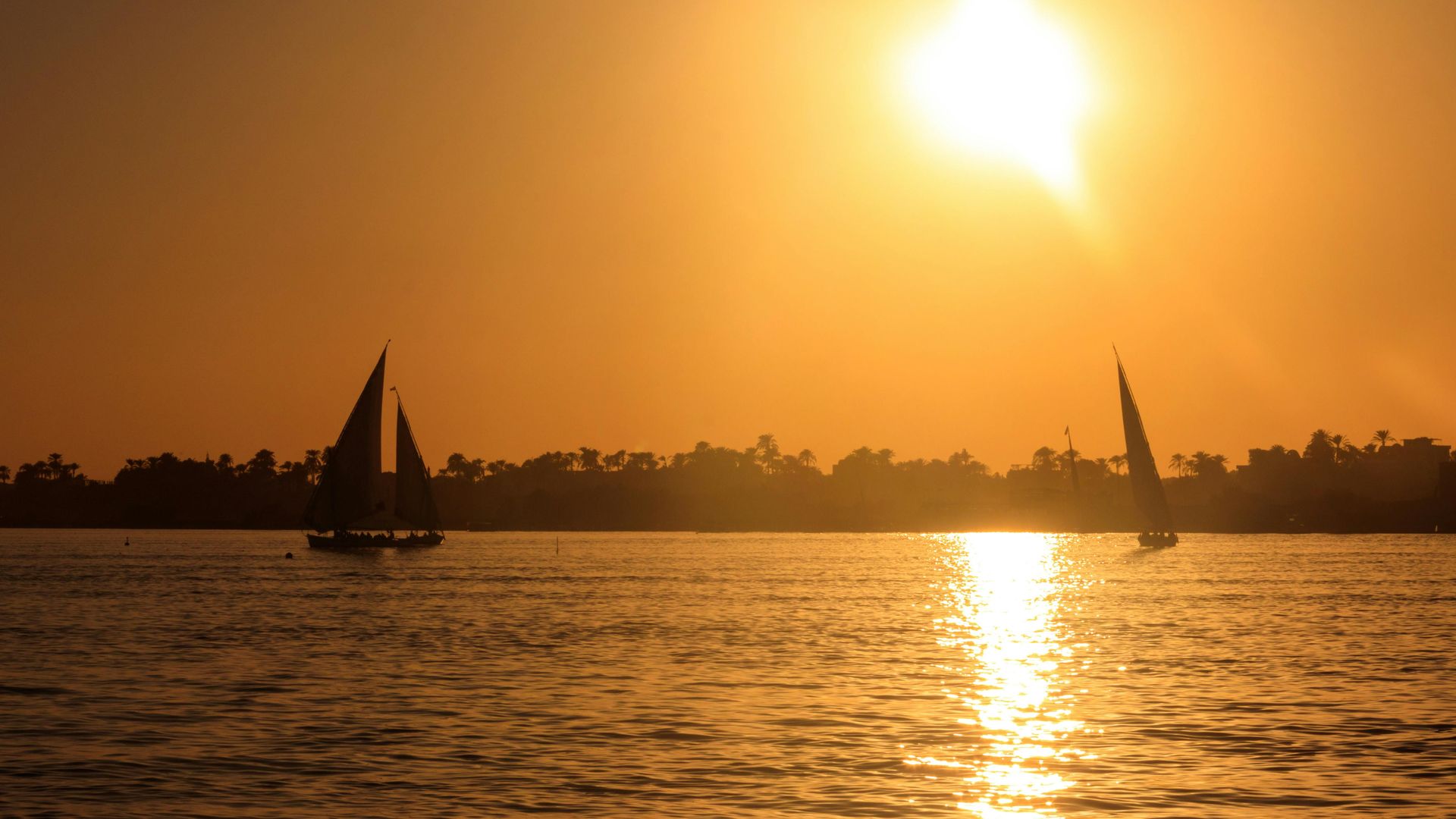 Tamarind dhow evening cruise