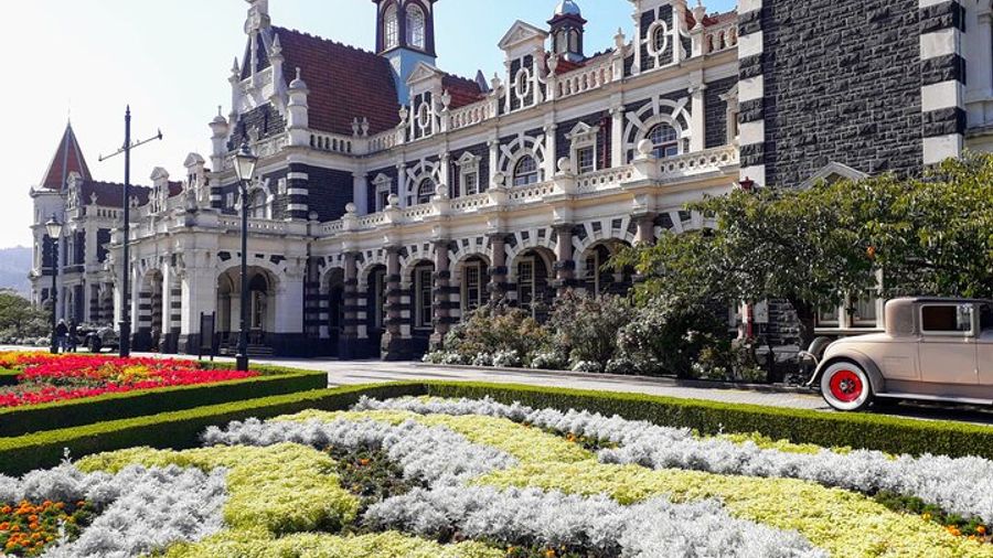 Dunedin and Otago Peninsula Small-Group Tour With Albatrosses