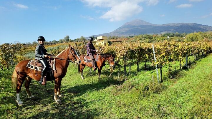 Pompeii Small-Group Tour With Vesuvius Horseback Ride & Lunch