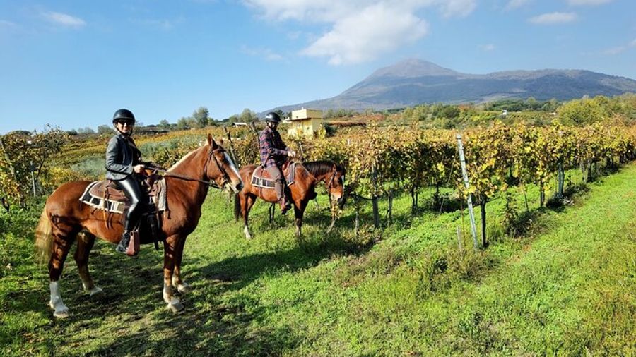 Pompeii Small-Group Tour With Vesuvius Horseback Ride & Lunch