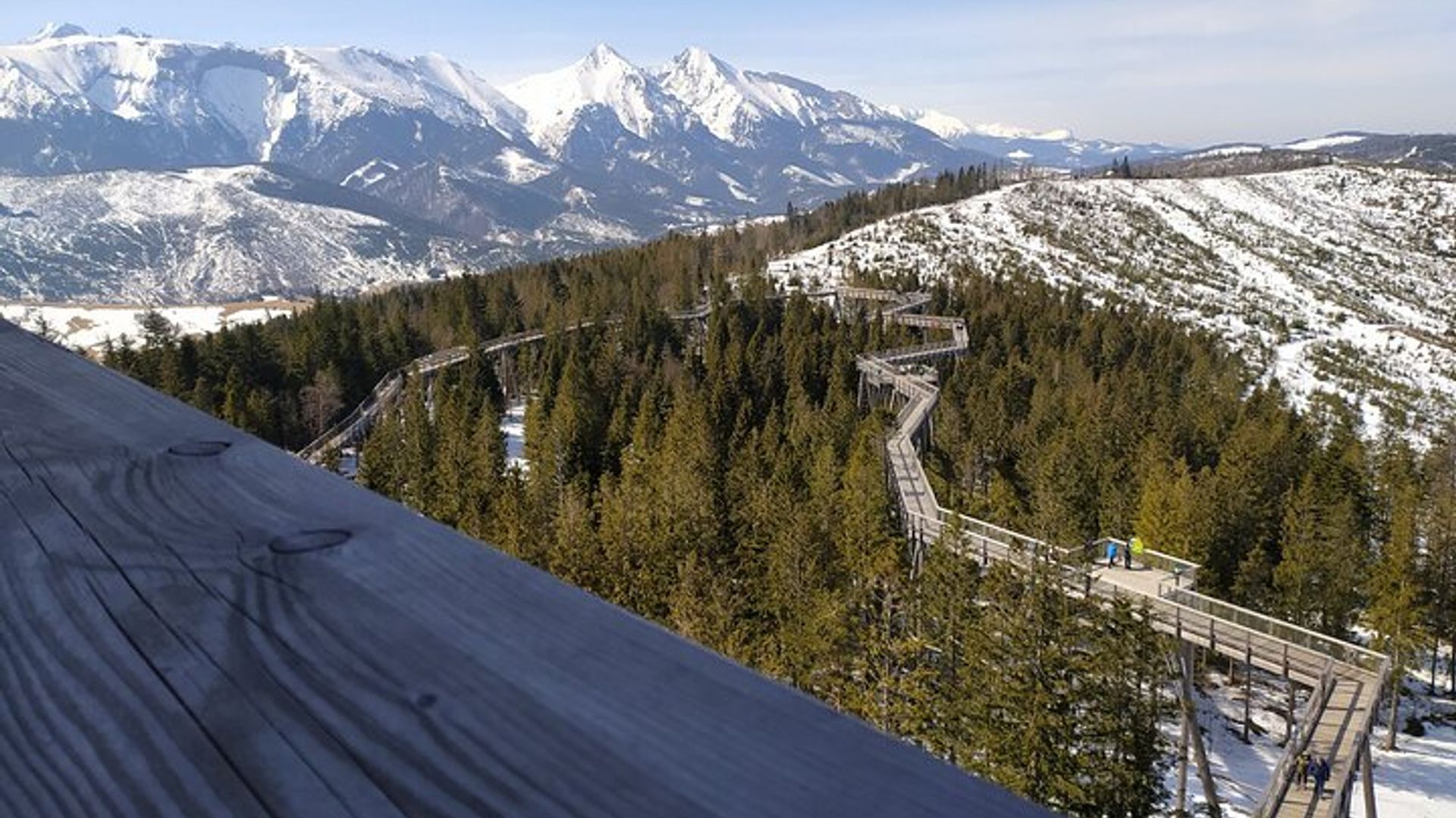 Baumwipfelpfad in der Slowakei und Zakopane Private Tour von Krakau