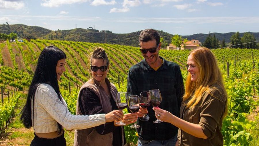 Albufeira Wine Tasting: Boutique Winery Tour & Historic Silves