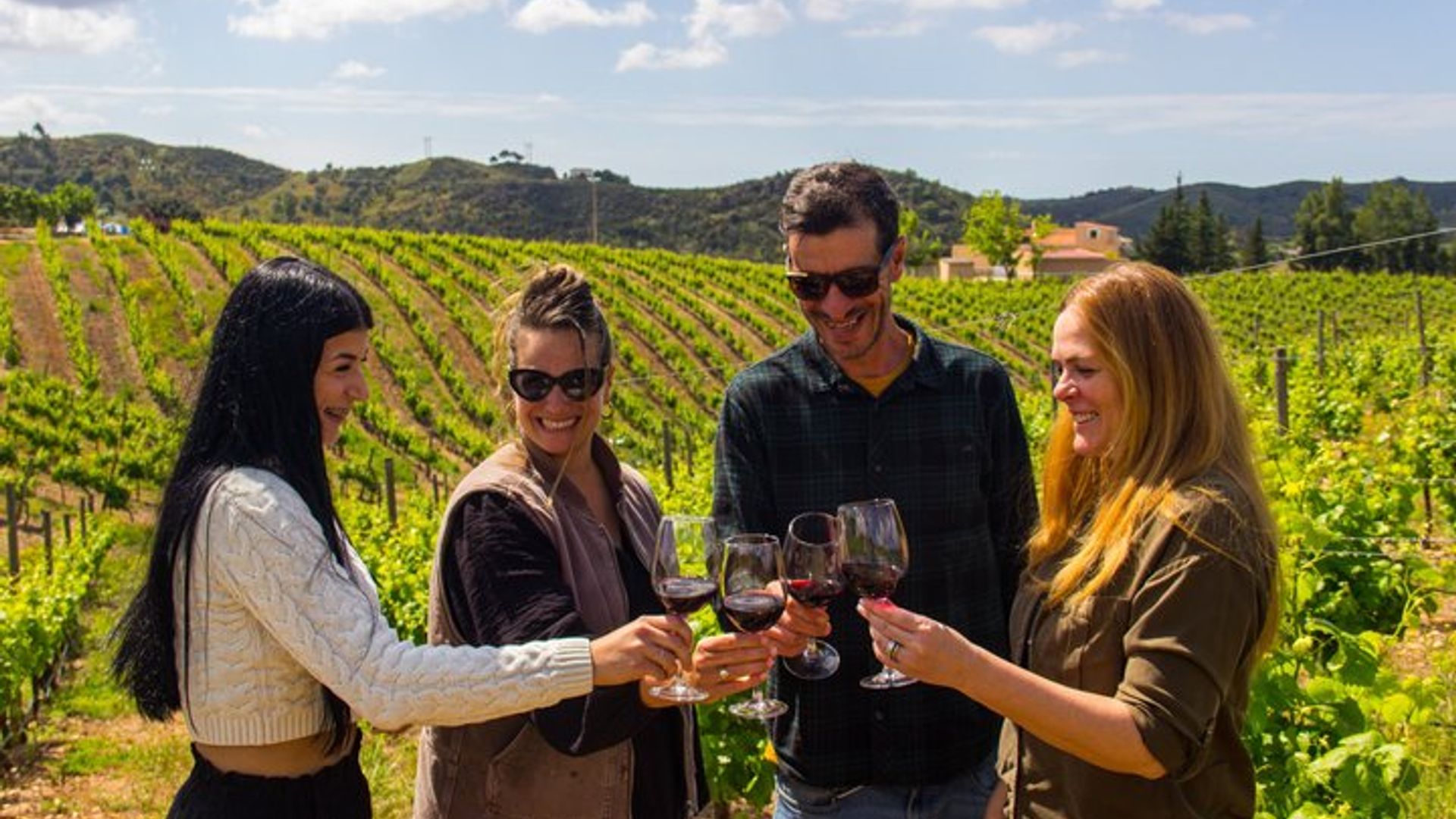 Dégustation de vin d'Albufeira : Visite de la cave Boutique & Silves historiques