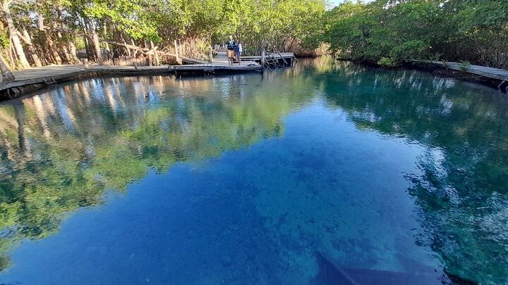 Boat Tour of Three Islands in Holbox with Transportation