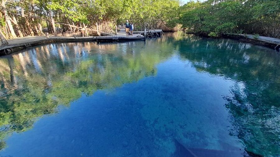 Isla Holbox: Three Islands Boat Tour With Beaches and Wildlife