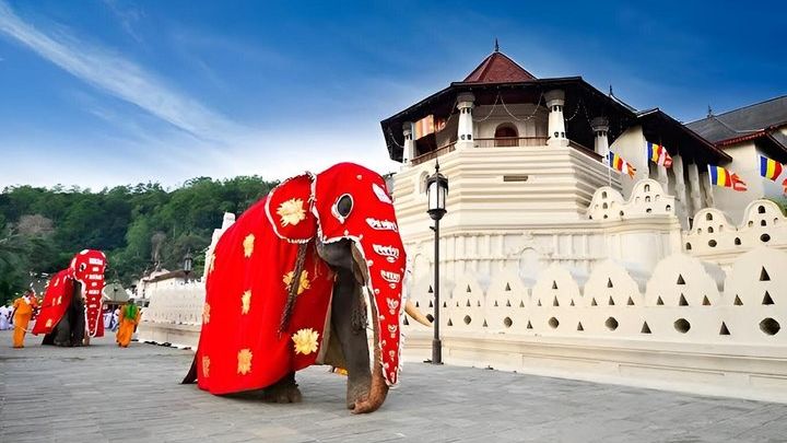 Kandy City Tour with Temples, Culture and Scenic Viewpoints