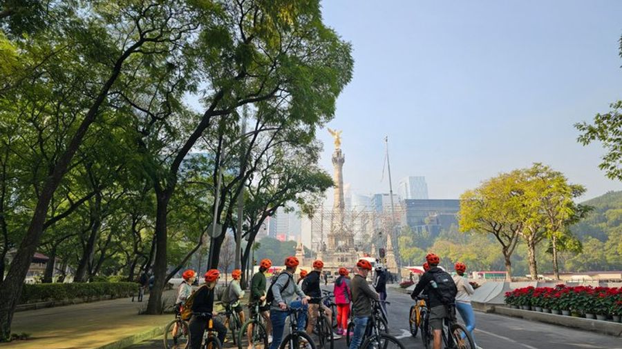 Mexico City Small-Group Bicycle Tour