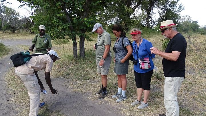 Rhino Walking Safari Experience- MINIMUM 2 PEOPLE