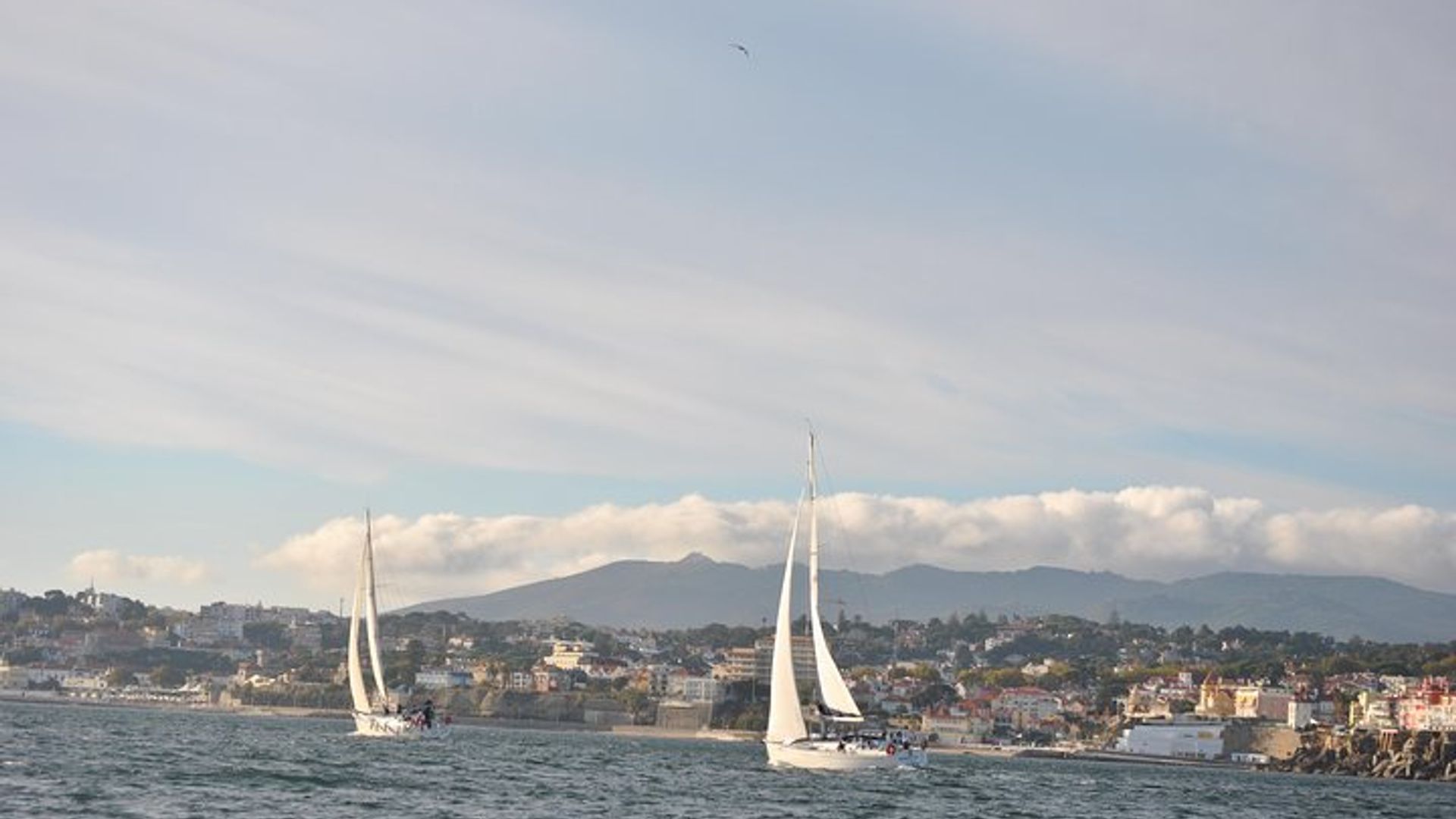 Cascais Luxury Private Sailing Cruise - Half day or full day